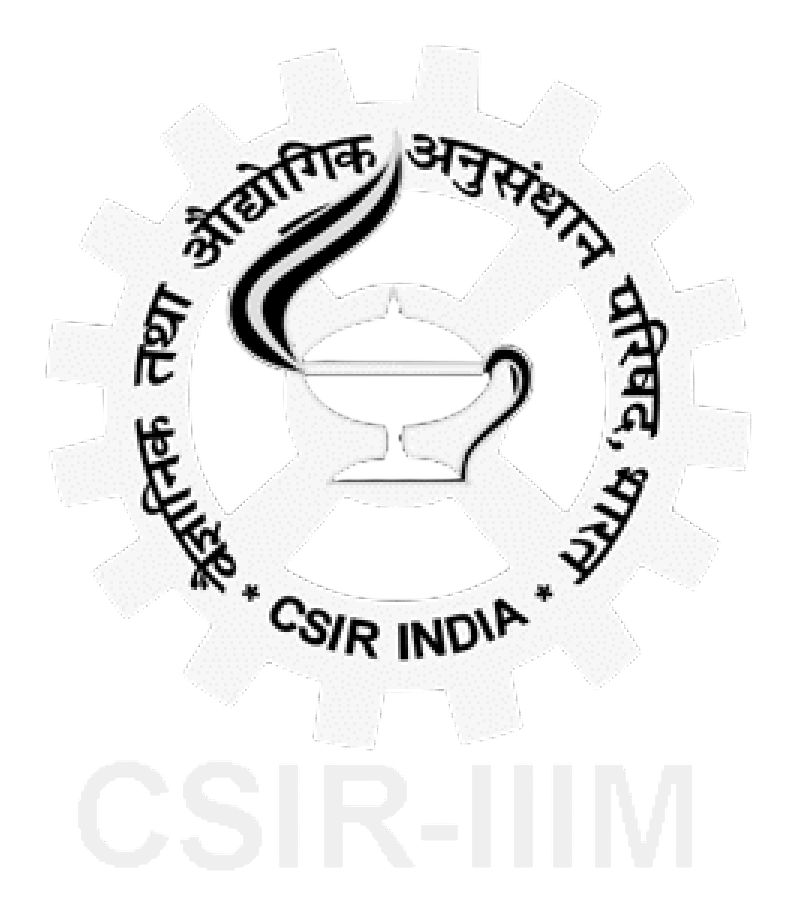 CSS Winner Logo